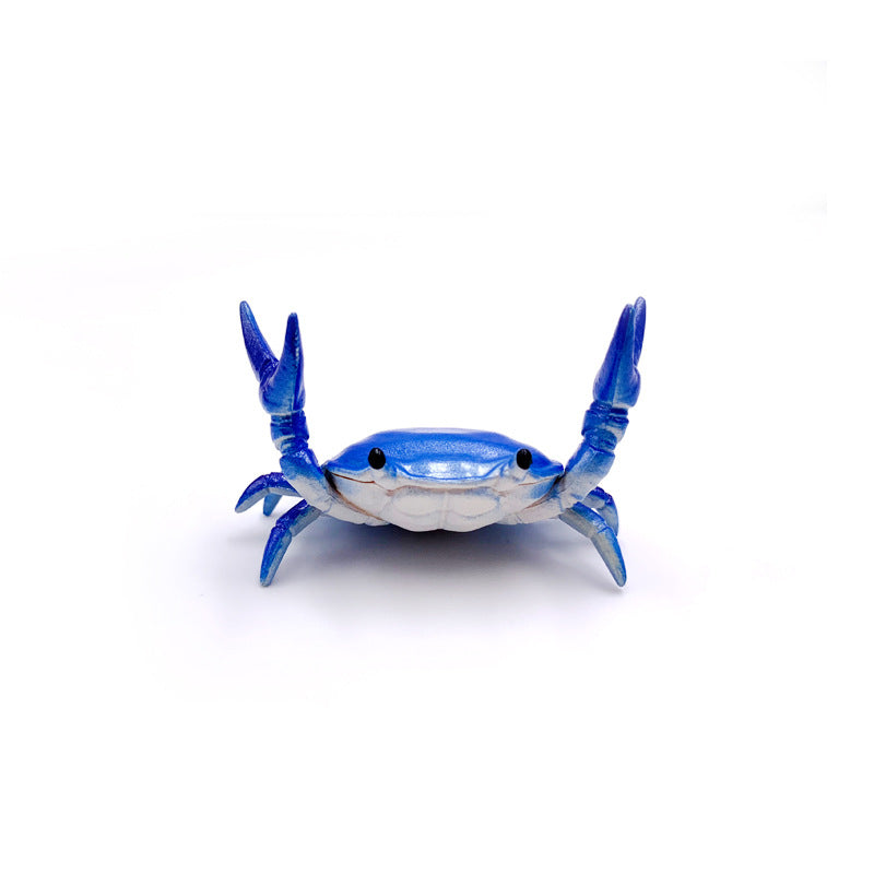 Cute Crab Holder Weightlifting Crab Stand