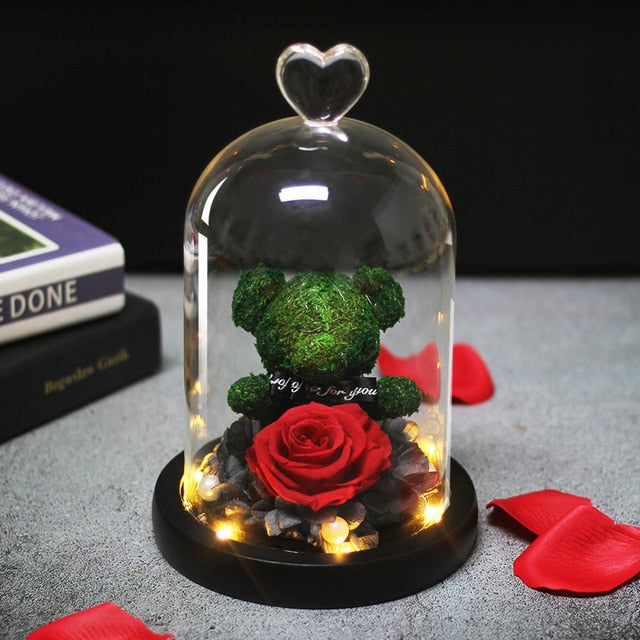 Rose Teddy Bear in Glass Dome